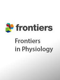 Enhancing myocardial infarction detection with vectorcardiography: fusion-based comparative analysis of machine learning methods