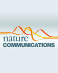 Artificial chemotaxis in micro/nanomotors